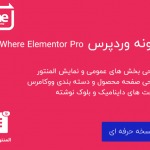 افزونه AnyWhere Elementor Pro